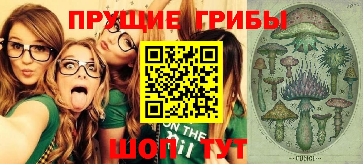 Псилоцибиновые грибы GOLDEN TEACHER  Вход с VPN  Галлюциногенные грибы Psilocybine cubensis  Чебоксары 
