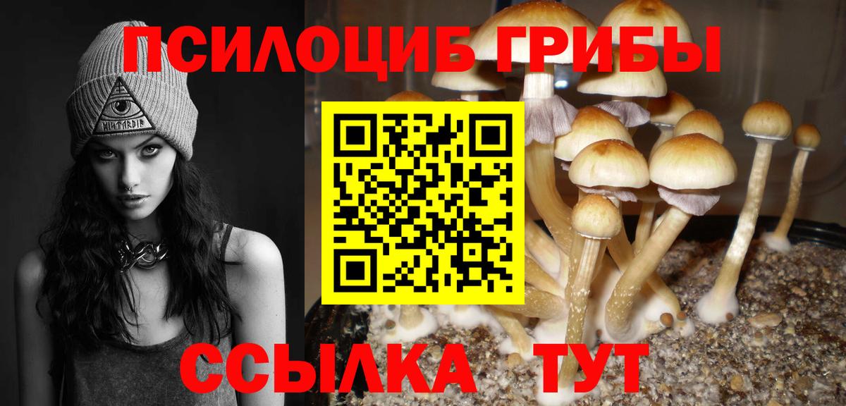 Псилоцибиновые грибы Cubensis Чебоксары